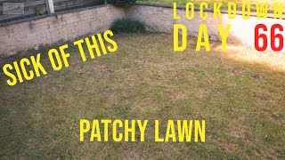 UK Lockdown Day 66 (Here's The Lawn as-is!!) #withme #stayhome