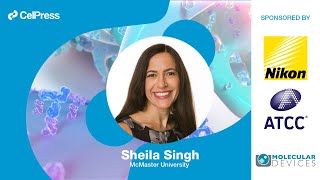 Sheila Singh answers: What are the most relevant model systems for studying cancer?