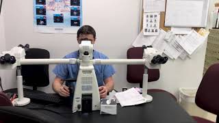 Pathology and Laboratory Medicine Residency Tour at Temple