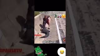 #divertido #memes #engraçados #diversão #engraçados #engraçado #memesbr #animais #viral_video