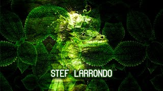 Stef Larrondo / Mystic Jungle 14.07_2023