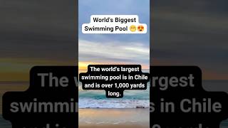 THE WORLD'S BIGGEST SWIMMING POOL😨😱 | Subscribe if you didn't know 😜😀 #shorts #facts #swimming