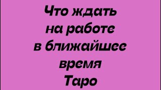 Что ждать на работе в ближайшее время. Таро Расклад.