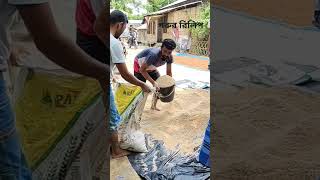 Cow Rilip #vairal #comedyshorts #funnyrels #funny #shortvideos