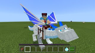 DRAGON MOUNTS ADDON SHOWCASE | MCPE/BE