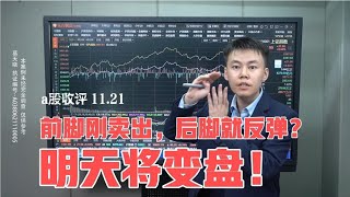 前脚刚卖出，后脚就反弹？明天将变盘！【a股收评 11.21】