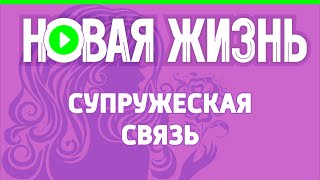 Супружеская связь