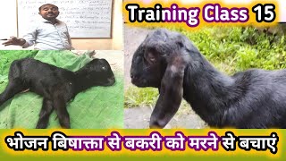 Goatfarming Online Training class 15|Butolism Bimari Bakri Me Kaise Hoti Hai|