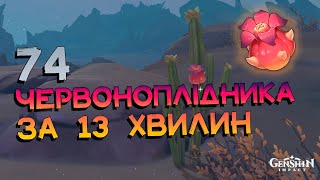 Червоноплідник | Маршрут Збору | Матеріали Вознесіння | Genhsin Impact 3.1 Українською