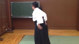 Aikido Hapo Demonstration