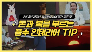 [경이로운 세상] 돈과 복을 부르는 풍수 인테리어 꿀팁