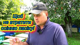 Що робити щоб не втратити пасіку?