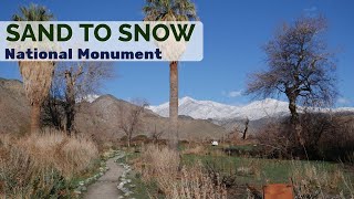 Hiking in the Sand to Snow National Monument