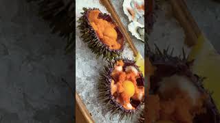 Yammi #music #youtubeshorts #food #foodie #foodlover #seaurchins #oysters