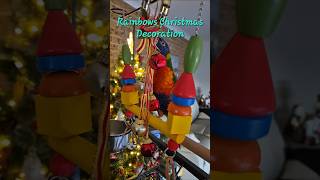 Rainbows Christmas Decoration #shorts #lorikeet #viral