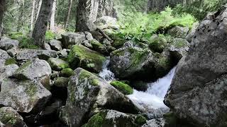 the water falls in the small waterfall for an hour