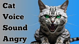 Cat Sound | Billi ki Awaaz | Cat Voice