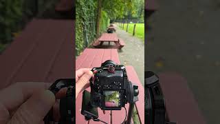 Comparing 28mm vs 200mm full frame lens/camera  a7Siii Tamron 28-200mm #cameralens #photographytips