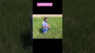 agritech kumar