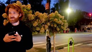 Jezeb Performs Acapella and Spoken Word for Monday Market at Caffe Aroma 9/9/24