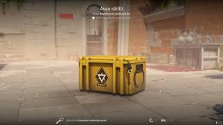 DAY 290 OPENING CS2 CASES UNTIL I GET GOLD!