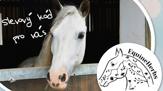 První skokový trénink v roce 2022 | Equine Herbs