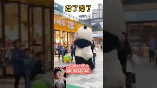 cute panda funny #youtubeshorts #youtube #ytshorts #viral #trending