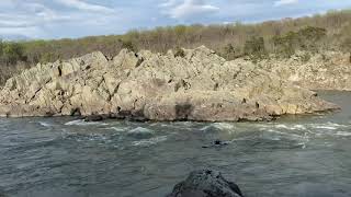 Surfing in the river 2