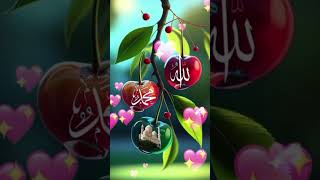 The name of Allah & Muhammad is so beautiful #trending #trendingshorts #youtube #youtubeshorts