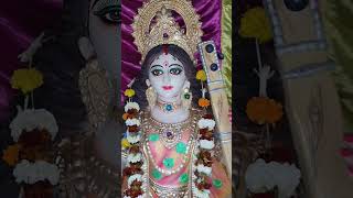 Famous North Kolkata Saraswati Puja 2023