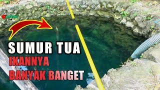 TERNYATA DISUMUR INI BANYAK IKANNYA - Mancing Disumur...