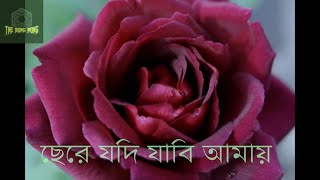 ছেড়ে যদি যাবি আমায় II chera jodi jabi amai 🎶 II Sad Song 💘 II FA Sumon II The Bong Mong