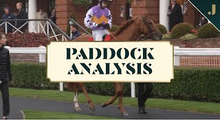 Fascinating analysis of the offspring of legendary stallions Dubawi, Pinatubo and Ghaiyyath