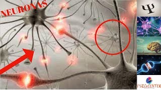 NEURONAS