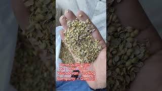 Parrot Quality Sortex Spilit #coriander #export