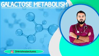 Galactose metabolism