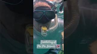 Snorkeling at Phi Phi Islands. Watch full video on my vlog. #phiphiislands #thailandvlog #snorkeling