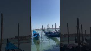 #trending #travel #viral #nature #venice #italy #visitvenice #visititaly #venicebeach Venice vlog