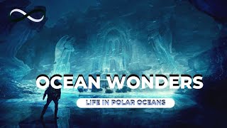 Beneath the Ice [Life in Polar Oceans] | FULL EPISODE | OCEAN WONDERS