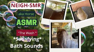 🐴 🛀 Relaxing 😌 & Satisfying | HORSE BATH #horse #asmr