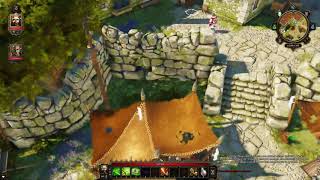 Divinity: Original Sin (Часть 2) Кооператив