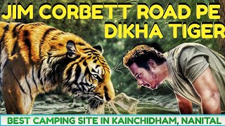 Jim Corbett Dhikala Zone Road pe dikha #tiger | #best Camp, #kainchidham Babaji #camp  #trending #4k