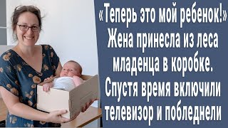 Жена принесла из леса малыша в коробке. А спустя время включили телевизор и побледнели