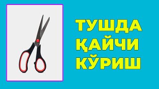 Туш табири - Тушда Кайчи куриш