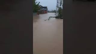 Flood situation in several areas of Kupwara, Kalingam and Chogi settlements under water