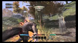 The Elder Scrolls Online PvP Non-veteran Even Fight