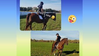 Hilarious horse dares with Roy and my best friend 😆🐎