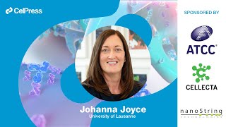 Johanna Joyce answers:  How can we harness the tumor microenvironment to improve cancer therapies?