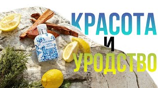 Dolce&Gabbana Light blue summer vibes - красивая обёртка да и только