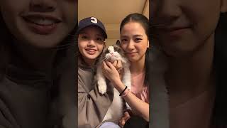 Lisa and Jisoo Playing with Lily in their V-live🤍🫶|#trending #shorts #viral #blackpink #kpop #lisoo